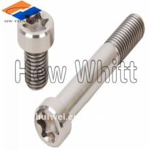 Titanium shallow head bolt with torx